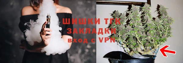 ешки Арсеньев