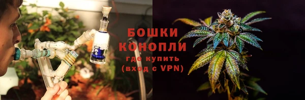 PSILOCYBIN Аркадак