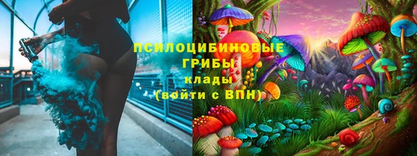 мдпв Армянск