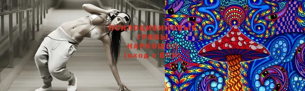 PSILOCYBIN Аркадак