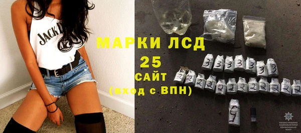 PSILOCYBIN Аркадак